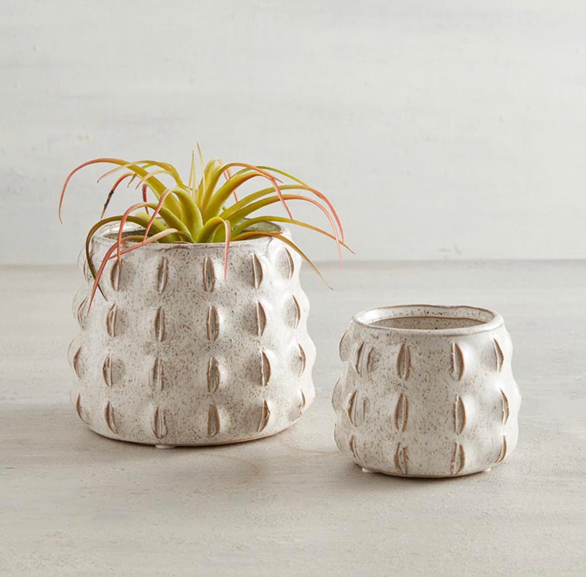Textured Accent Pot