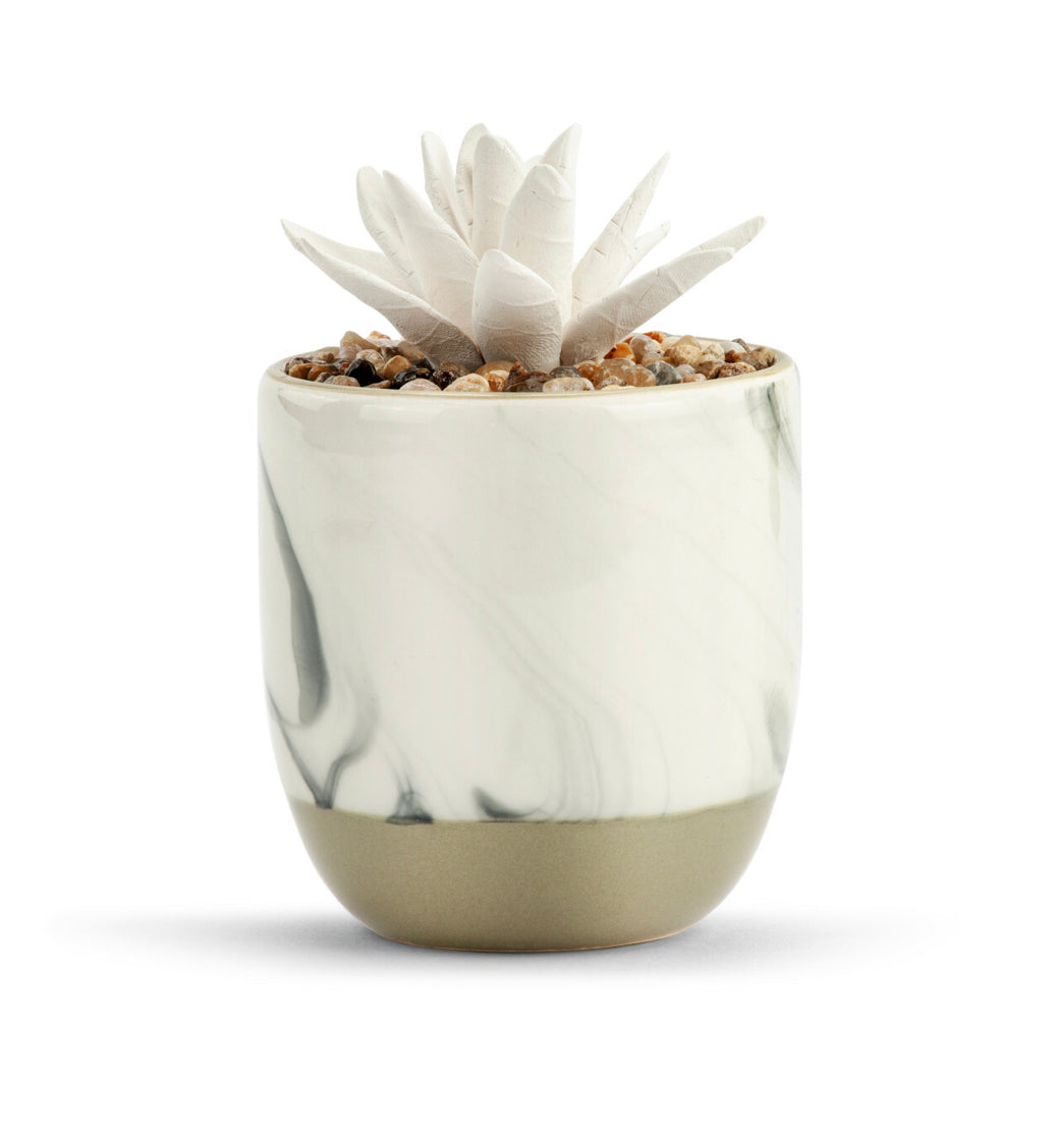 Succulent Oil Diffuser, "Keep Growing"