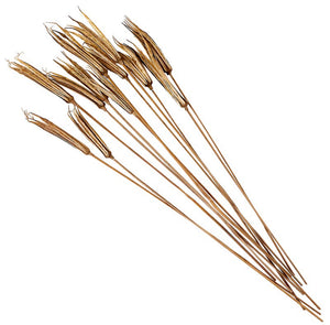 Decorative Lady Finger Stems, 24in