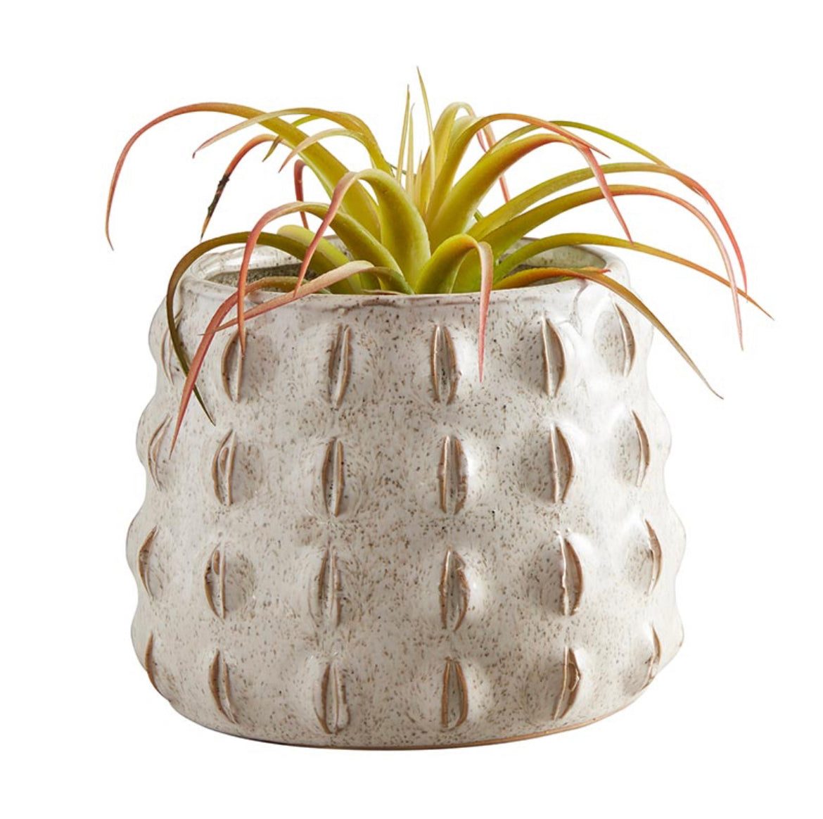 Textured Accent Pot