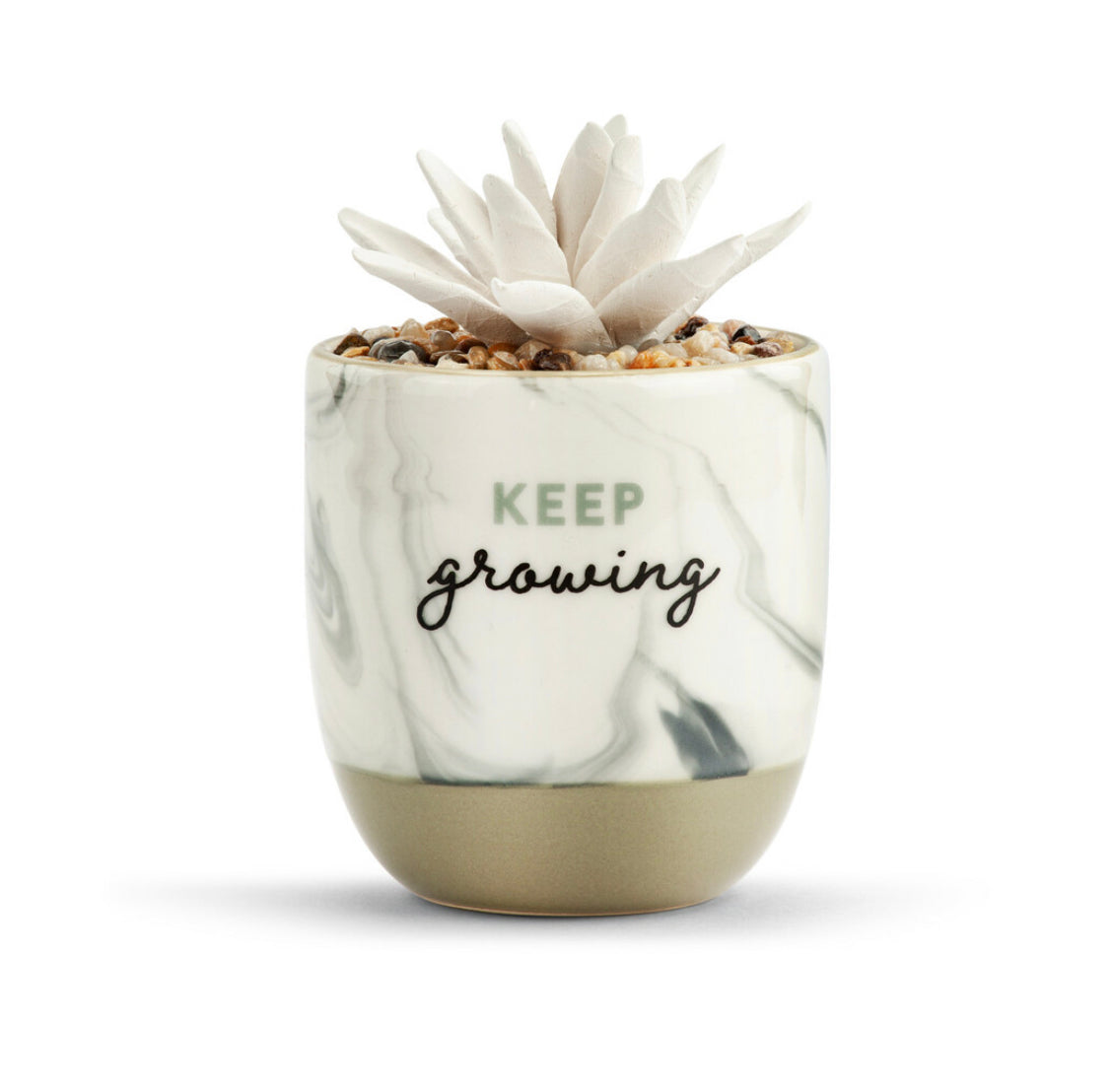 Succulent Oil Diffuser, "Keep Growing"